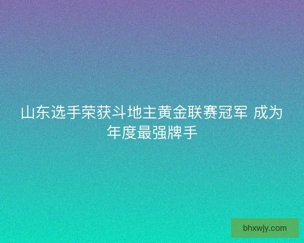 山东选手荣获斗地主黄金联赛冠军 成为年度最强牌手