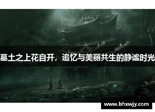 墓土之上花自开，追忆与美丽共生的静谧时光